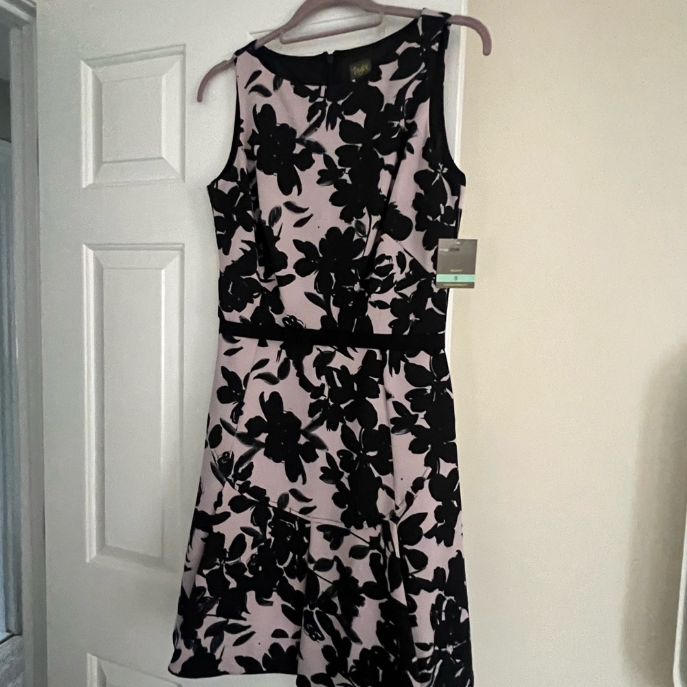 Banded Waist Crepe Dress